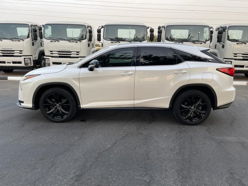 2019 Lexus RX300 F Sport 2.0-liter turbocharged 4-cylinder Petrol Engine White Black SUV