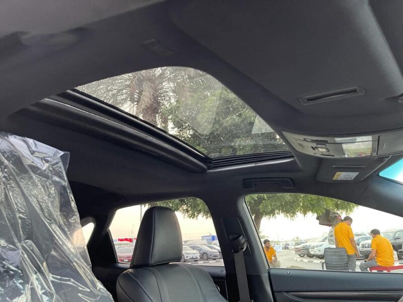 2019 Lexus RX300 F Sport 2.0-liter turbocharged 4-cylinder Petrol Engine White Black SUV