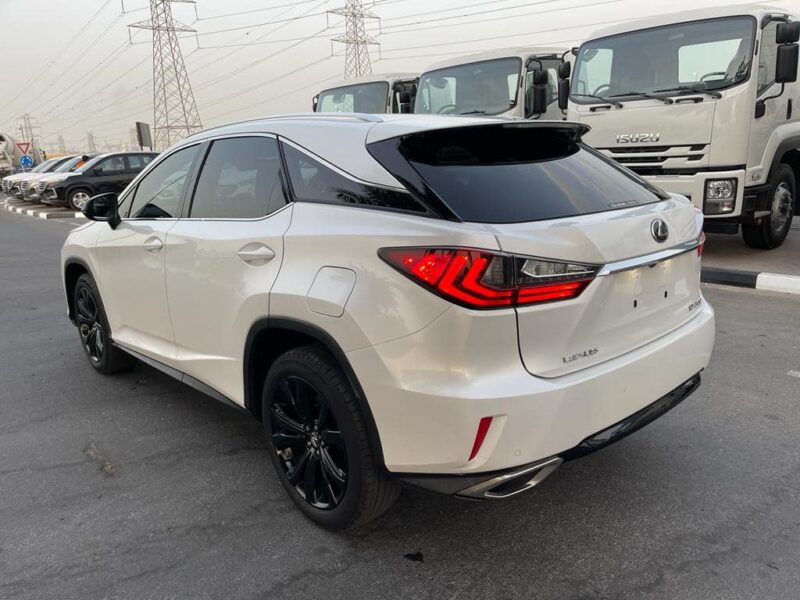 2019 Lexus RX300 F Sport 2.0-liter turbocharged 4-cylinder Petrol Engine White Black SUV