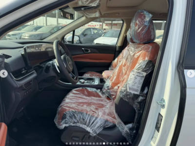 2025 Kia Carnival 3.5-liter V6 Petrol Engine White Brown MPV Automatic FWD