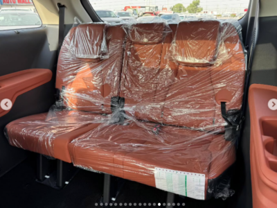 2025 Kia Carnival 3.5-liter V6 Petrol Engine White Brown MPV Automatic FWD