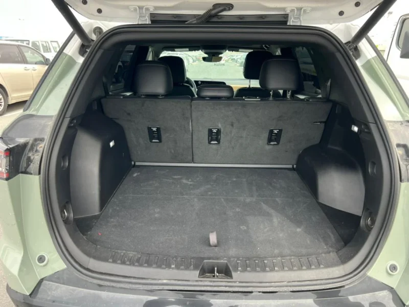 2025 Chevrolet Equinox ACTIV 1.5L Turbocharged 4-cylinder Petrol Engine Green Tan SUV