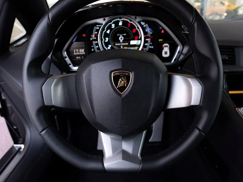 2014 Lamborghini Aventador Standard 6.5L V12 Engine 50th Anniversary Edition Silver Black Sports Car