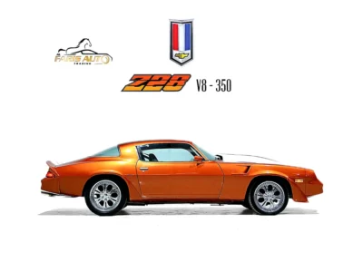1981 Chevrolet Camaro Z28 5.0L V8 Petrol Engine Orange Black Coupe BODY BY FISHER