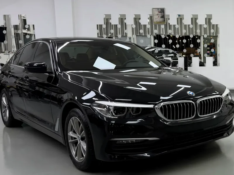 2020 BMW 5-Series 520i 2.0-liter Turbocharged 4 Cylinder Petrol Engine Black Beige Sedan