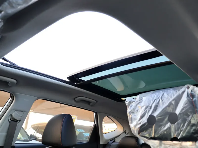 2025 Kia Seltos Luxury Edition 1.5 Liters 4 Cylinders Petrol Engine White Black SUV