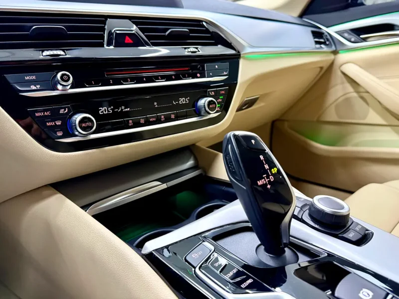 2020 BMW 5-Series 520i 2.0-liter Turbocharged 4 Cylinder Petrol Engine Black Beige Sedan