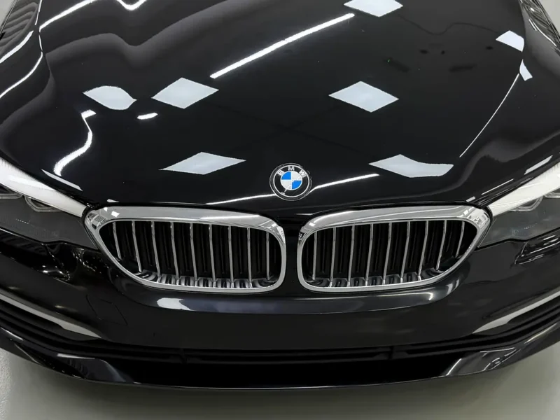 2020 BMW 5-Series 520i 2.0-liter Turbocharged 4 Cylinder Petrol Engine Black Beige Sedan