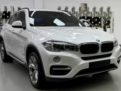 2017 BMW X6 xDrive35i 3.0-liter Turbocharged Inline 6-cylinder Engine White Brown SUV