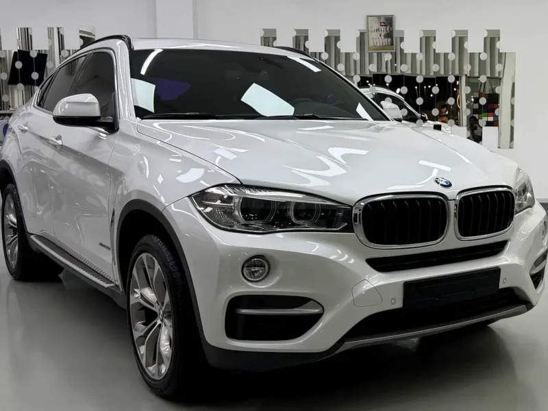 2017 BMW X6 xDrive35i 3.0-liter Turbocharged Inline 6-cylinder Engine White Brown SUV