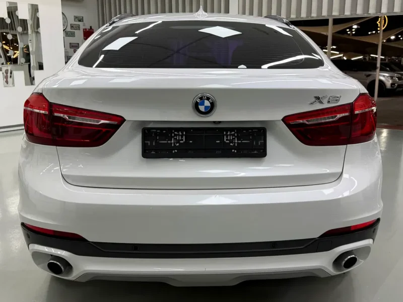 2017 BMW X6 xDrive35i 3.0-liter Turbocharged Inline 6-cylinder Engine White Brown SUV