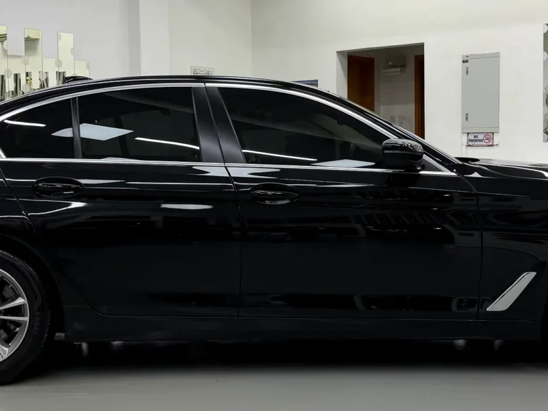 2020 BMW 5-Series 520i 2.0-liter Turbocharged 4 Cylinder Petrol Engine Black Beige Sedan