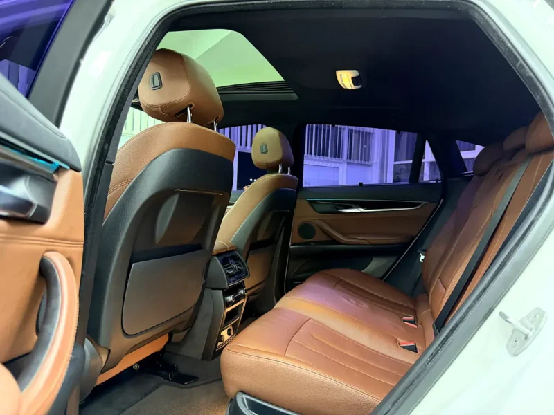 2017 BMW X6 xDrive35i 3.0-liter Turbocharged Inline 6-cylinder Engine White Brown SUV