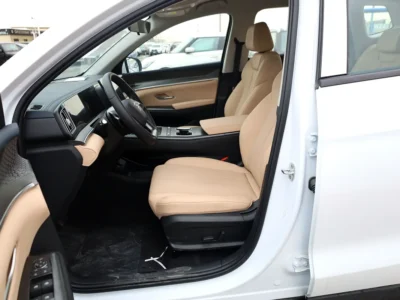 2025 BYD Song Pro DM-i 1.5 litres 4 Cylinder Plug in Hybrid Engine White Beige SUV