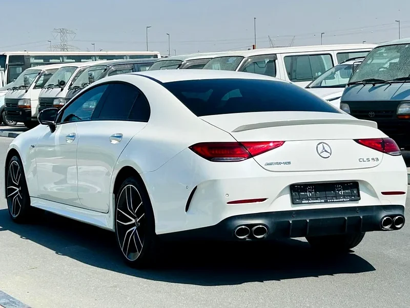 2019 Mercedes-Benz CLS-Class CLS 53 AMG 6 Cylinders Petrol Engine White Black Sedan