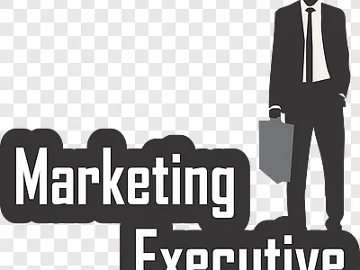 Required Sales & Marketing Executive