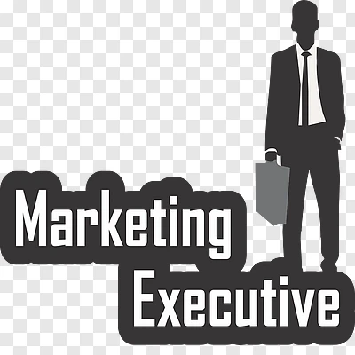 Required Sales & Marketing Executive