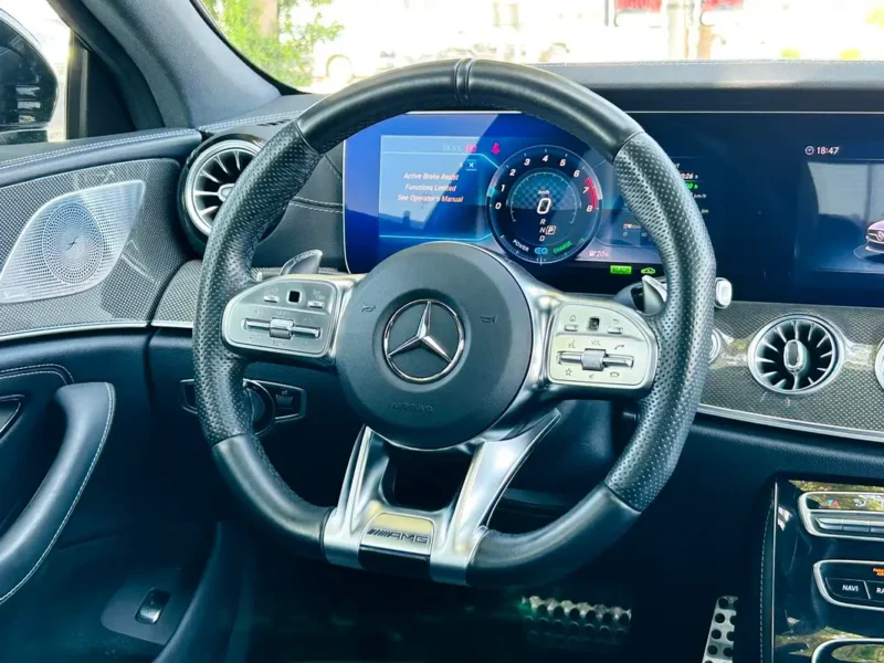 2019 Mercedes-Benz CLS-Class CLS 53 AMG 6 Cylinders Petrol Engine White Black Sedan