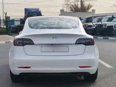 2020 Tesla Model 3 Standard Electric Vehicle 350 - 450 KM Range White Black Sedan