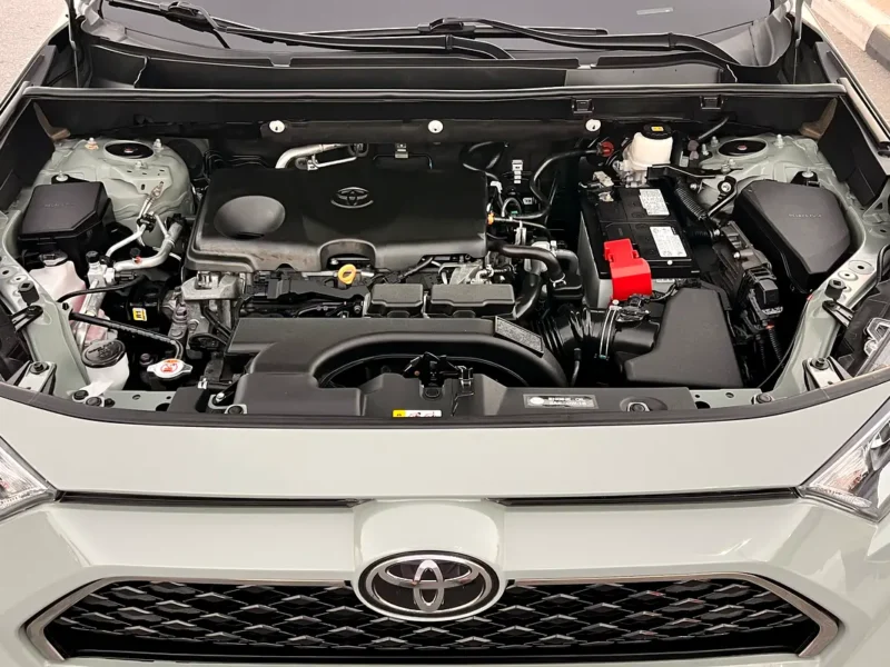 2021 Toyota Rav 4 XLE 4 Cylinders Petrol Engine Green Black SUV FULL OPTION
