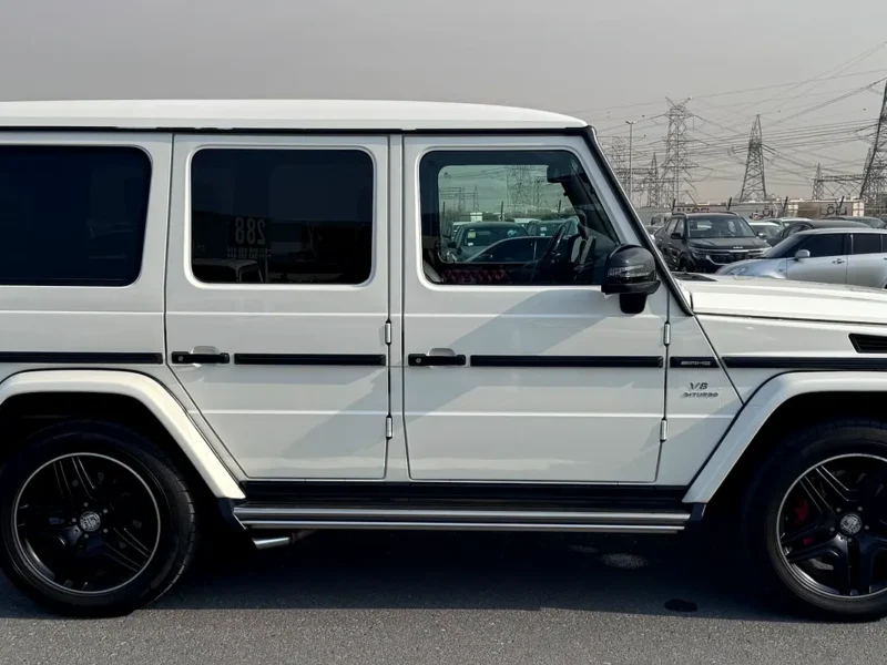 2017 Mercedes-Benz G-Class G 63 AMG 4.0L V8 Biturbo Petrol Engine White Red SUV