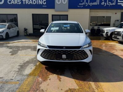2025 BYD QIN PLUS 1.5 Litres 4 Cylinders Hybrid Engine White Grey Sedan Mid Luxury Full Trim