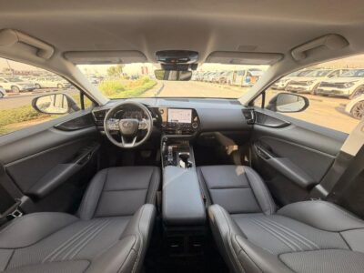 2025 LEXUS NX 250 2.5 Litres V4 Petrol Engine White Black SUV American Specs