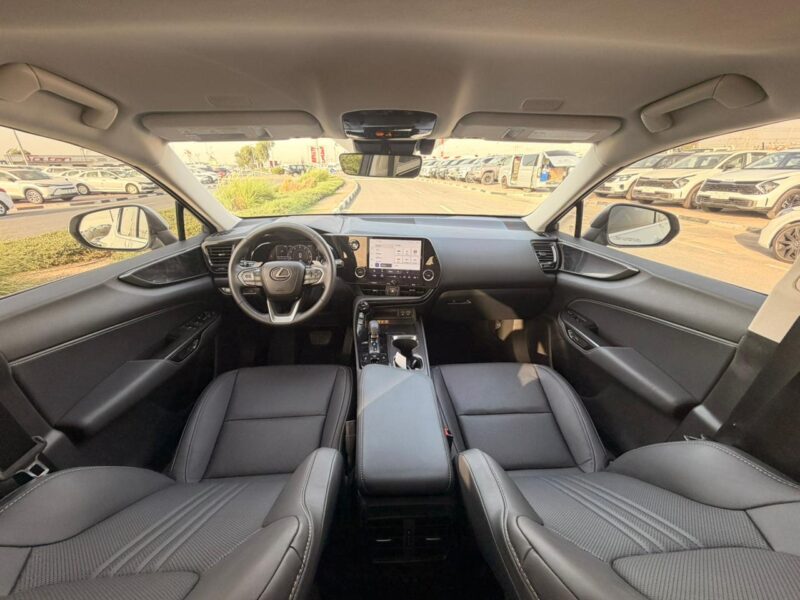 2025 LEXUS NX 250 2.5 Litres V4 Petrol Engine White Black SUV American Specs
