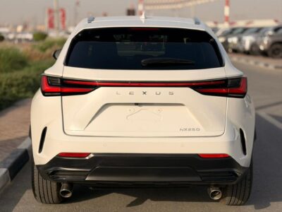 2025 LEXUS NX 250 2.5 Litres V4 Petrol Engine White Black SUV American Specs