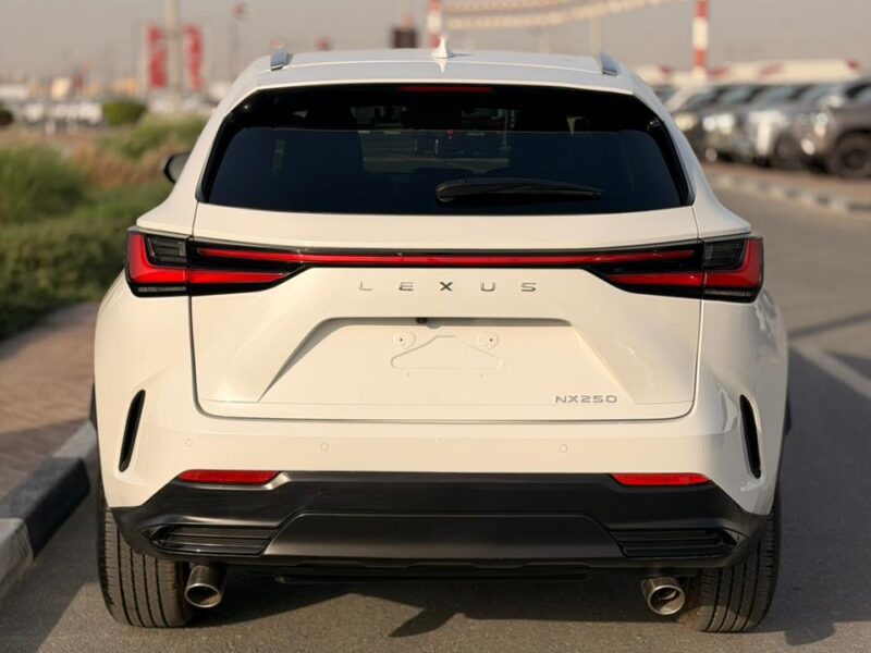 2025 LEXUS NX 250 2.5 Litres V4 Petrol Engine White Black SUV American Specs