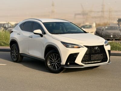 2025 LEXUS NX 250 2.5 Litres V4 Petrol Engine White Black SUV American Specs