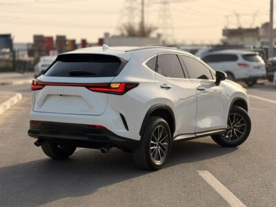 2025 LEXUS NX 250 2.5 Litres V4 Petrol Engine White Black SUV American Specs