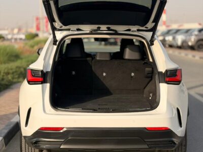 2025 LEXUS NX 250 2.5 Litres V4 Petrol Engine White Black SUV American Specs