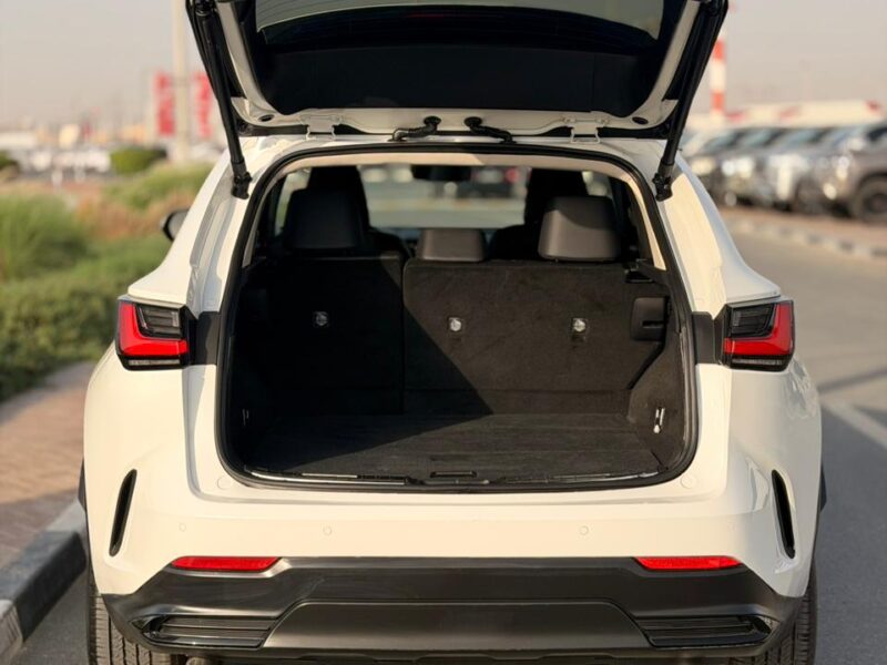 2025 LEXUS NX 250 2.5 Litres V4 Petrol Engine White Black SUV American Specs