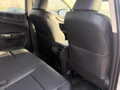 2025 LEXUS NX 250 2.5 Litres V4 Petrol Engine White Black SUV American Specs