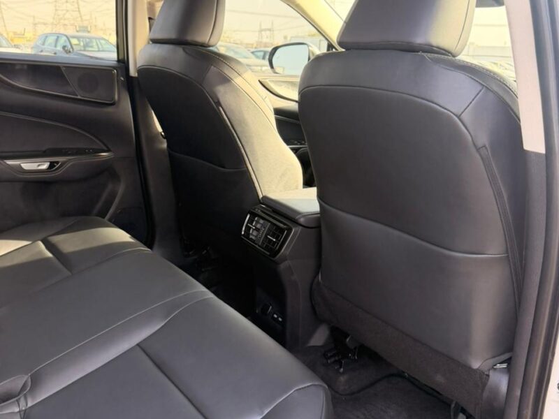 2025 LEXUS NX 250 2.5 Litres V4 Petrol Engine White Black SUV American Specs