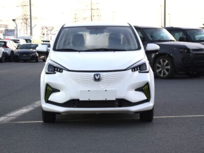 2024 Changan Ben EStar Full Electric Vehicle White Blue Hatchback Chinese Specs