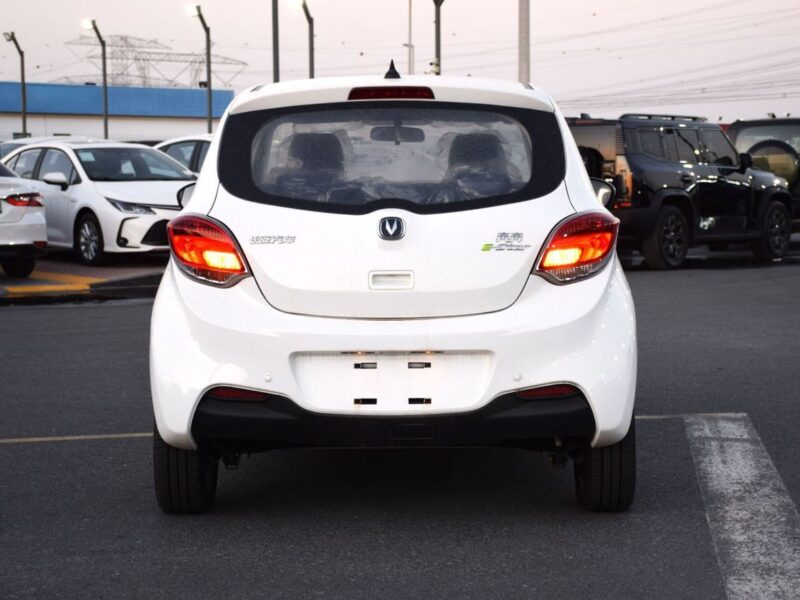 2024 Changan Ben EStar Full Electric Vehicle White Blue Hatchback Chinese Specs