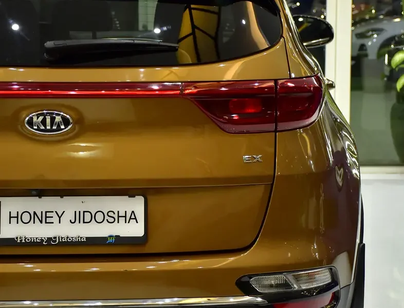 2020 Kia Sportage EX 2.4-liter 4-Cylinder Petrol Engine Brown Black SUV Automatic