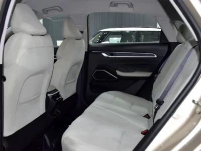 2024 Geely Emgrand GS 1.5-liter Naturally Aspirated 4-cylinder Engine Gold Beige Sedan GCC