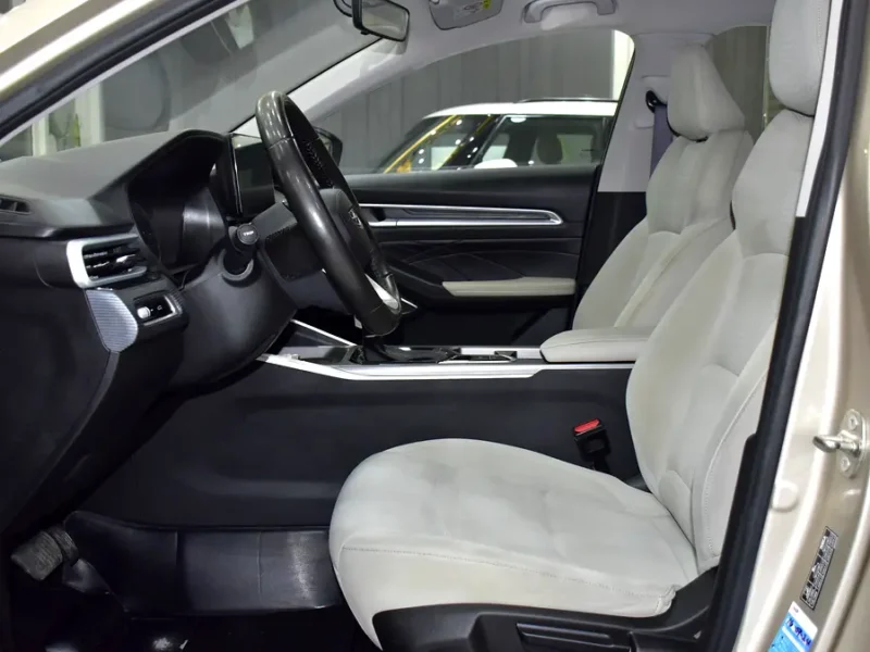 2024 Geely Emgrand GS 1.5-liter Naturally Aspirated 4-cylinder Engine Gold Beige Sedan GCC