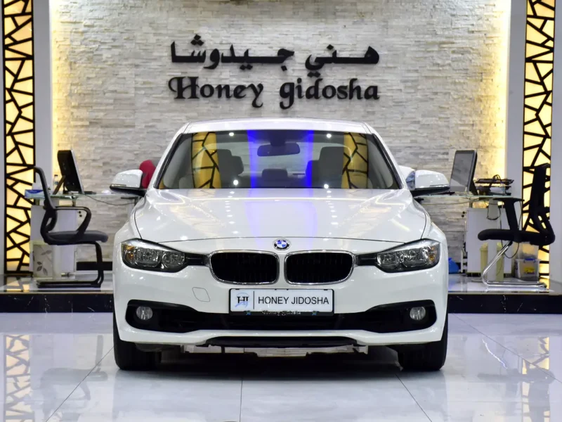 2016 BMW 3-Series 318i 1.5-liter Turbocharged 3-cylinder Engine White Beige Sedan GCC