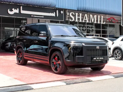 2024 Rox 01 VIP Electric Vehicle Black Orange SUV Chinese Specs Automatic