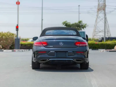 2019 Mercedes-Benz C-Class C 300 Cabriolet 4 Cylinders Petrol Engine Black Red Convertible