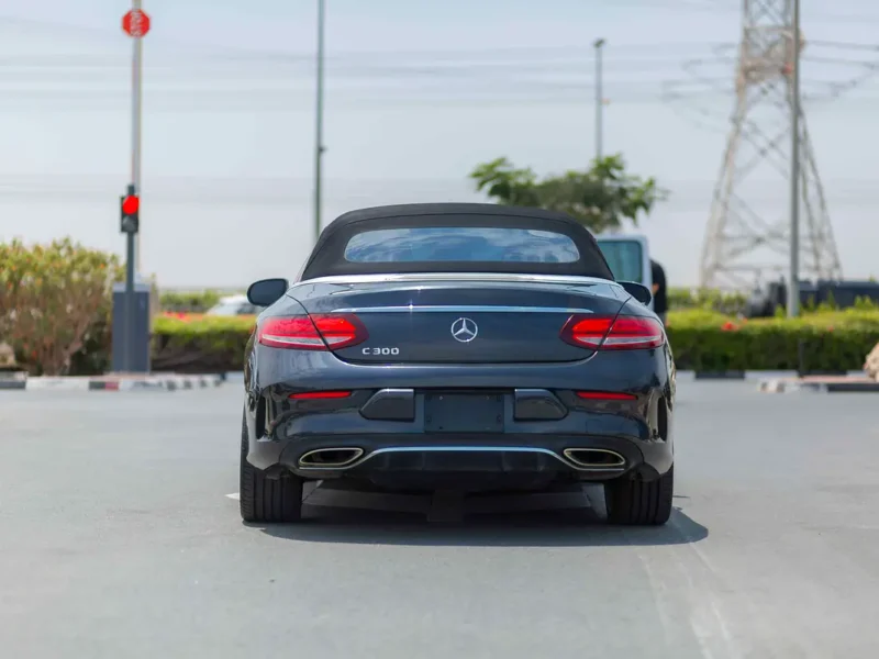 2019 Mercedes-Benz C-Class C 300 Cabriolet 4 Cylinders Petrol Engine Black Red Convertible