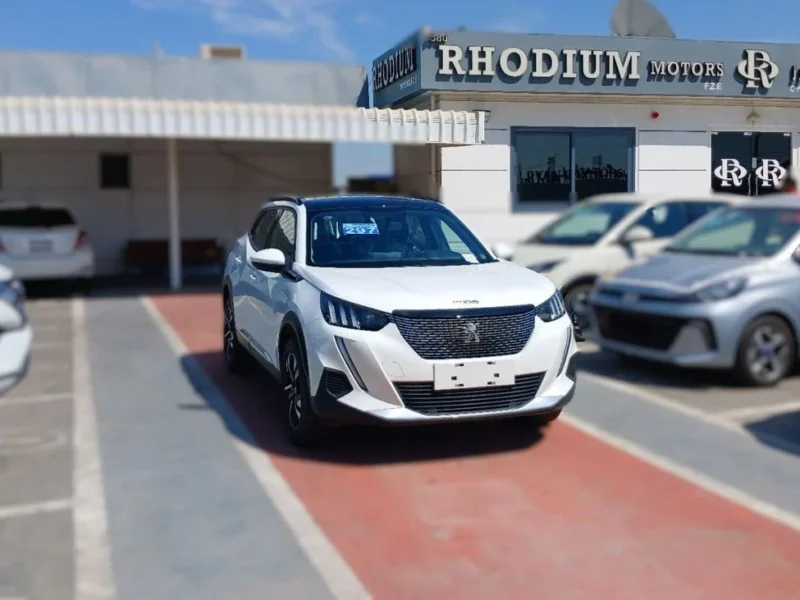 2023 Peugeot 2008 1.2 Litres 4 Cylinders Petrol Engine White Black SUV Chinese Specs