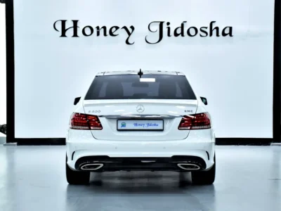 2016 Mercedes-Benz E-Class E 500 8 Cylinders Petrol Engine White Brown Sedan