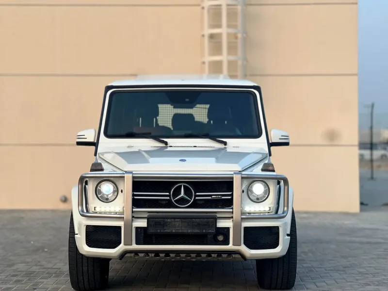 2005 Mercedes-Benz G-Class G 500 8 Cylinders Petrol Engiine White Brown SUV