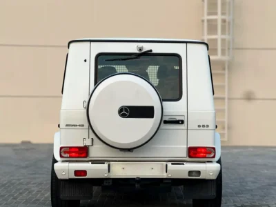 2005 Mercedes-Benz G-Class G 500 8 Cylinders Petrol Engiine White Brown SUV