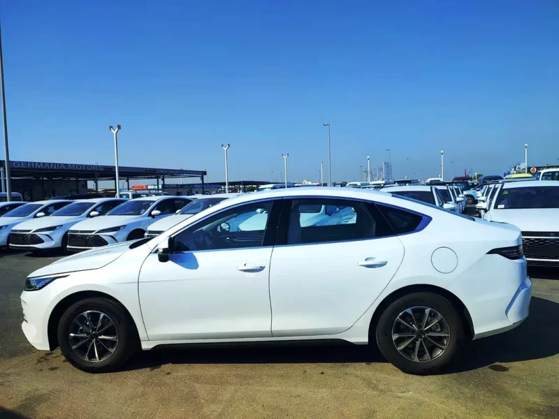 2025 BYD Destroyer 05 4 Cylinders Hybrid Engine White Black Sedan Automatic